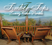 Timber Tops Cabin Rentals
